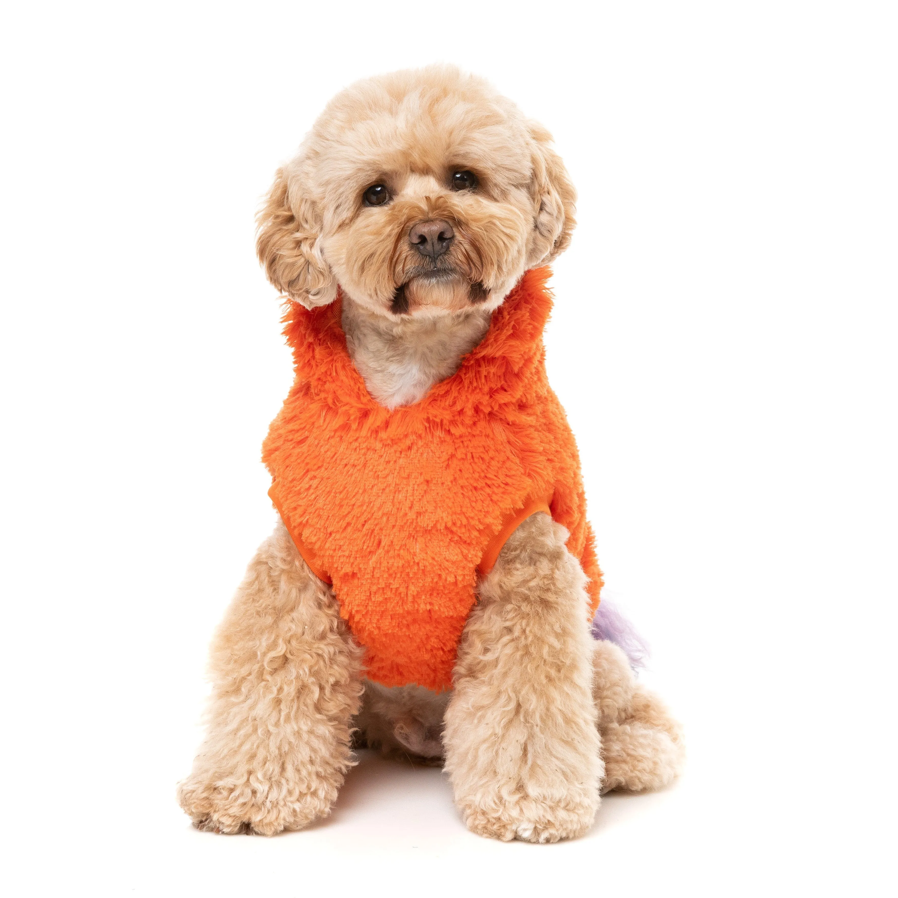 FuzzYard Halloween Dog Apparel Pumpkin Head Hoodie Size 3