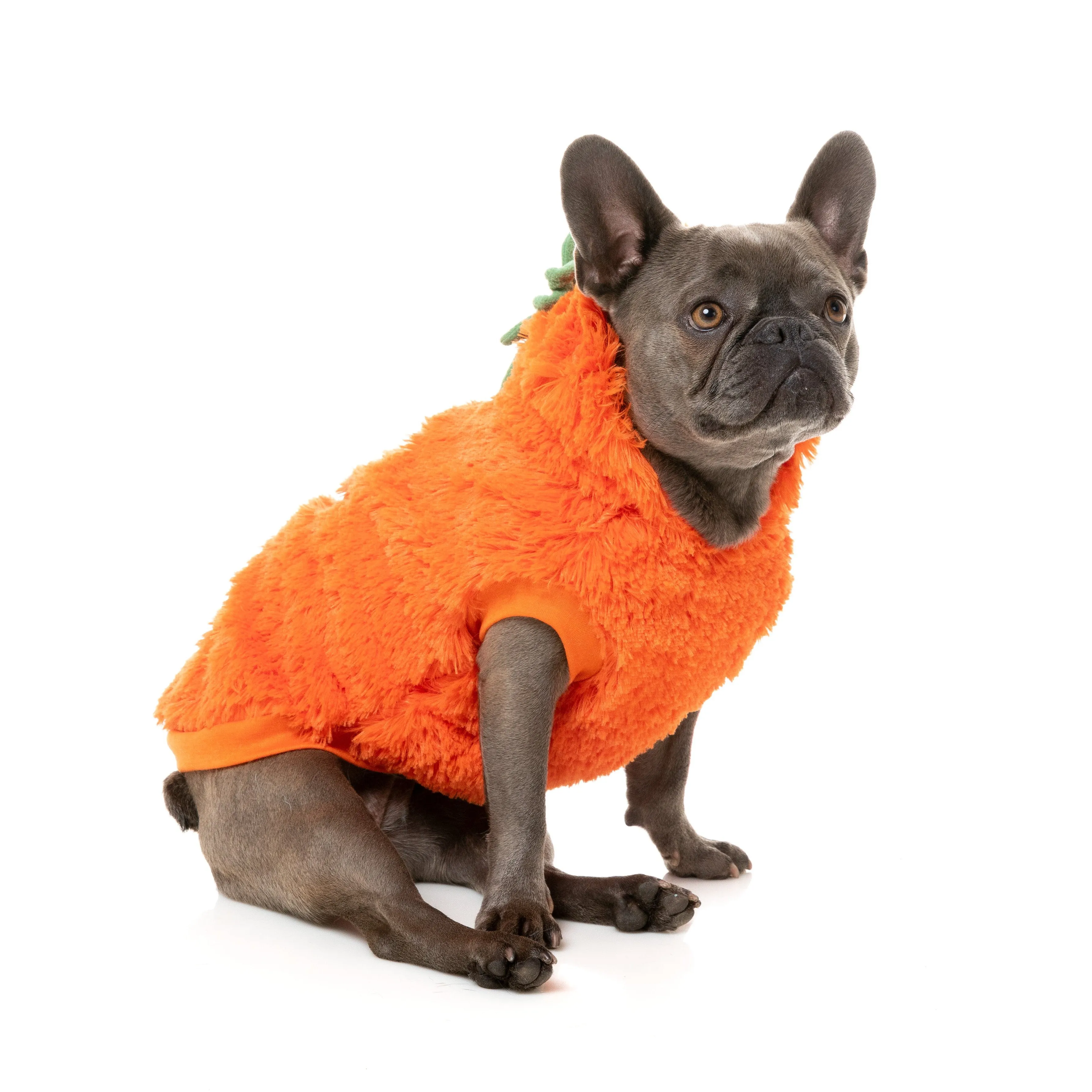 FuzzYard Halloween Dog Apparel Pumpkin Head Hoodie Size 3