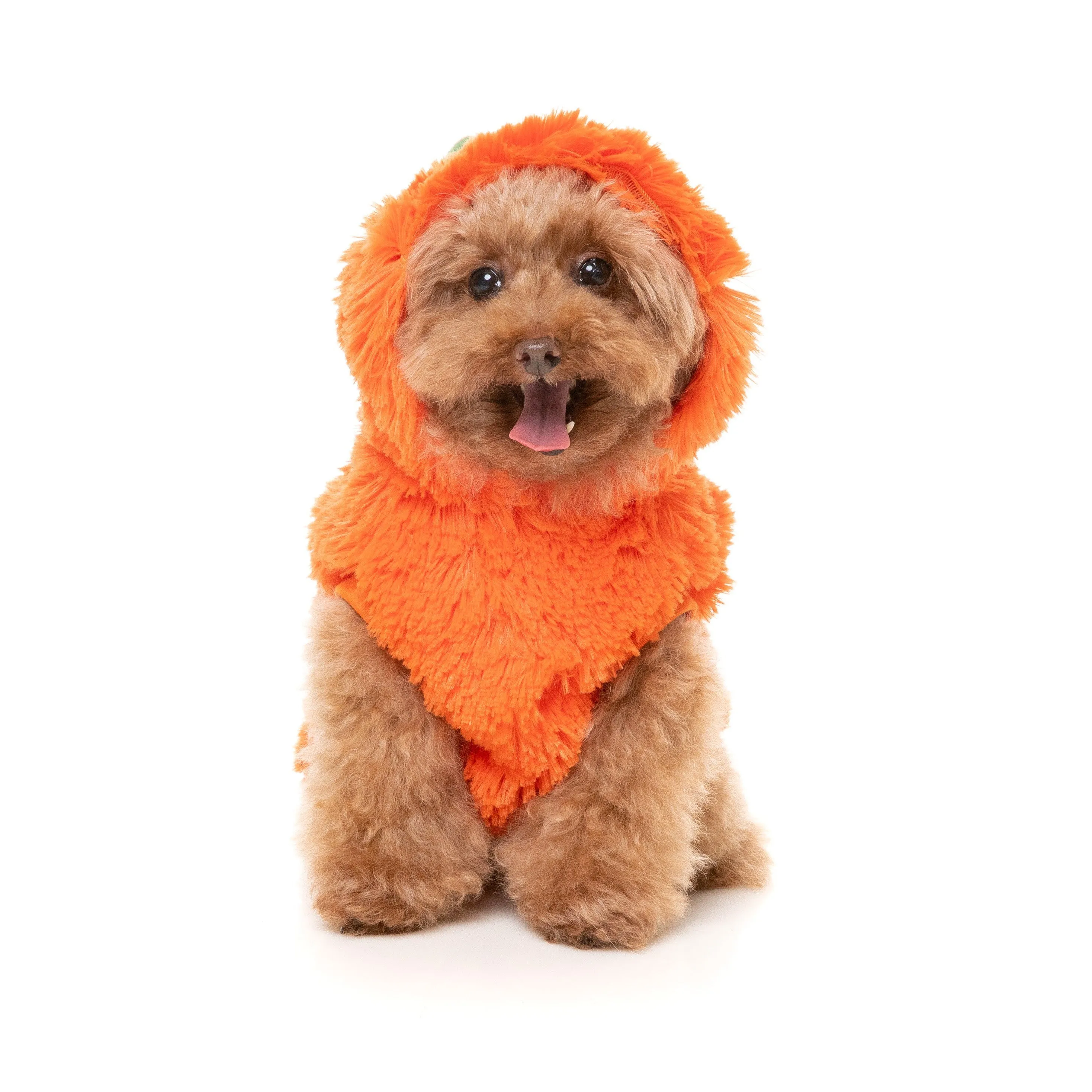 FuzzYard Halloween Dog Apparel Pumpkin Head Hoodie Size 3