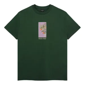 Pass-Port Quandong Tee Forest Green